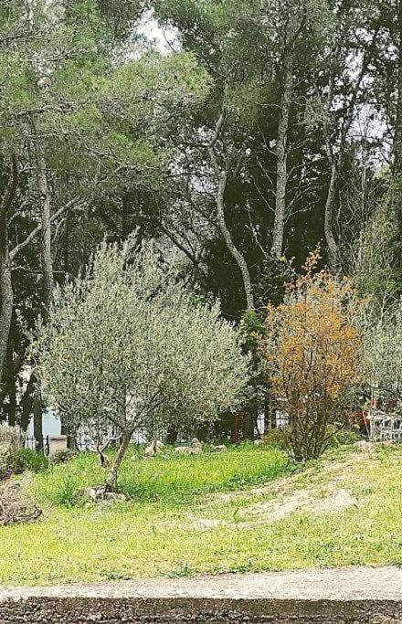 Apartment Maya Stari Grad  Exteriér fotografie